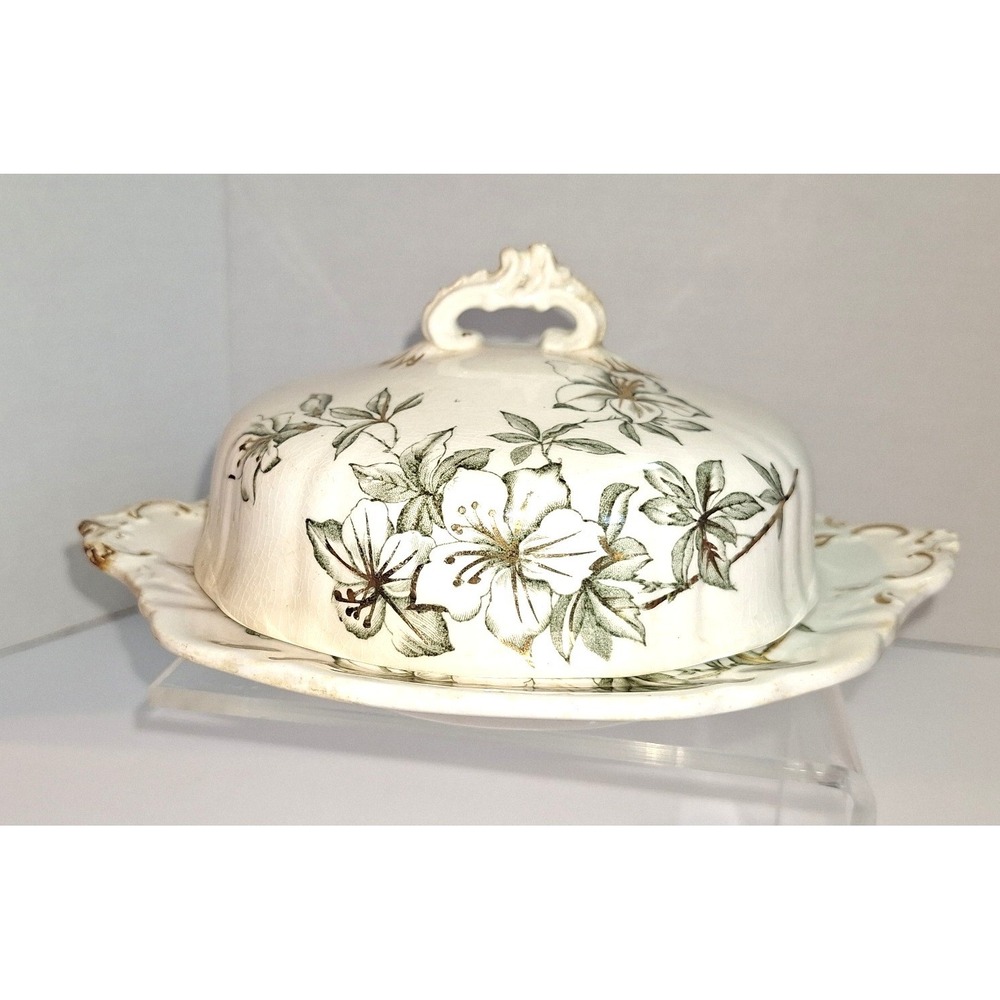 Antique John Edwards Azalea Ironstone Cheese Butter Dish Floral Gold England